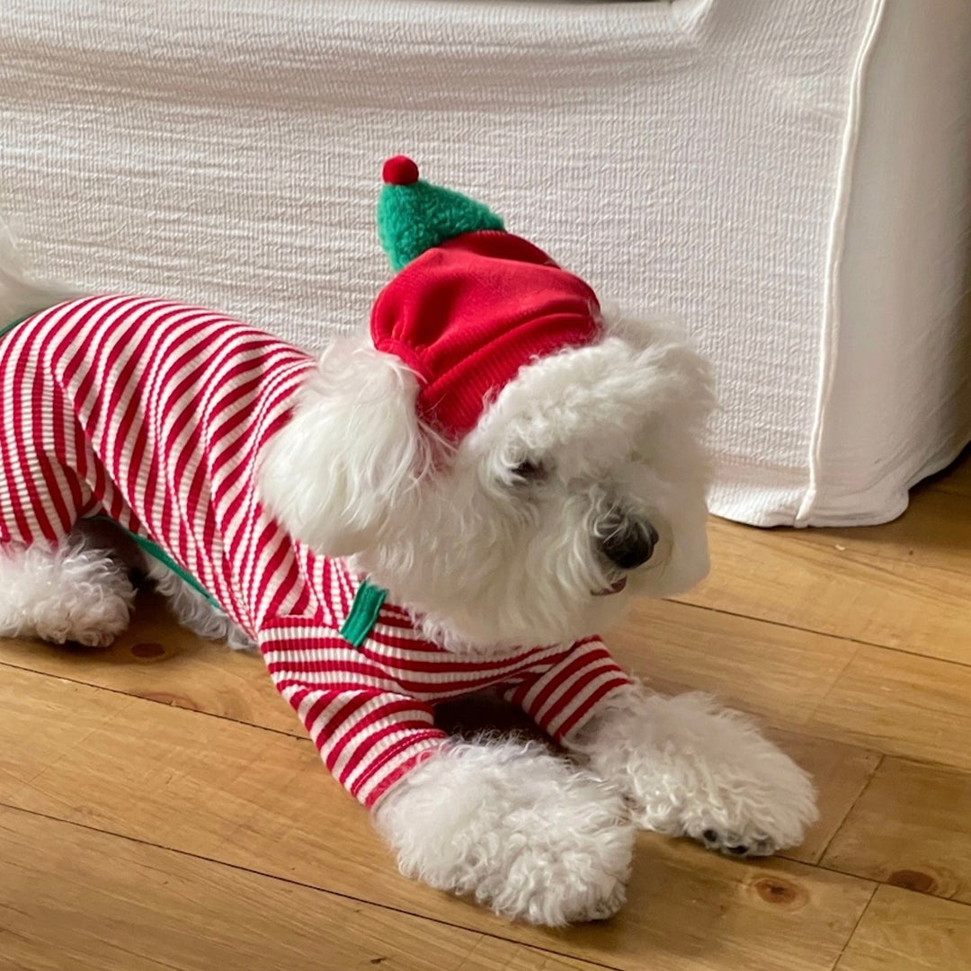 即納【FREDDIE TALE】Buddy All in one（Red）