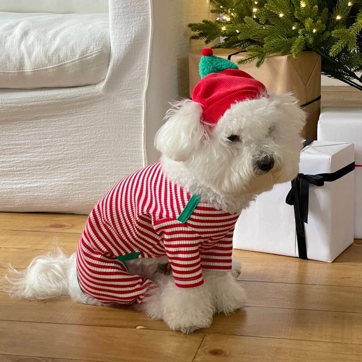 即納【FREDDIE TALE】Buddy All in one（Red）