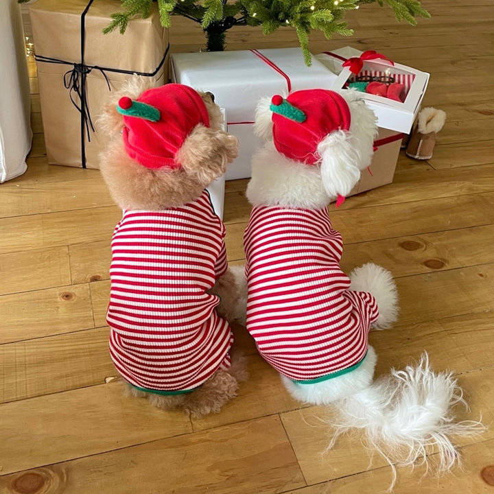 即納【FREDDIE TALE】Buddy All in one（Red）