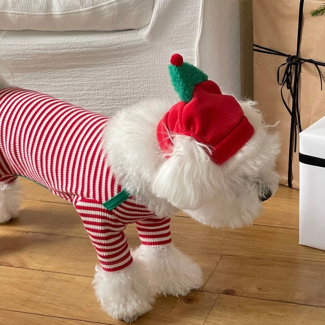 即納【FREDDIE TALE】Buddy All in one（Red）