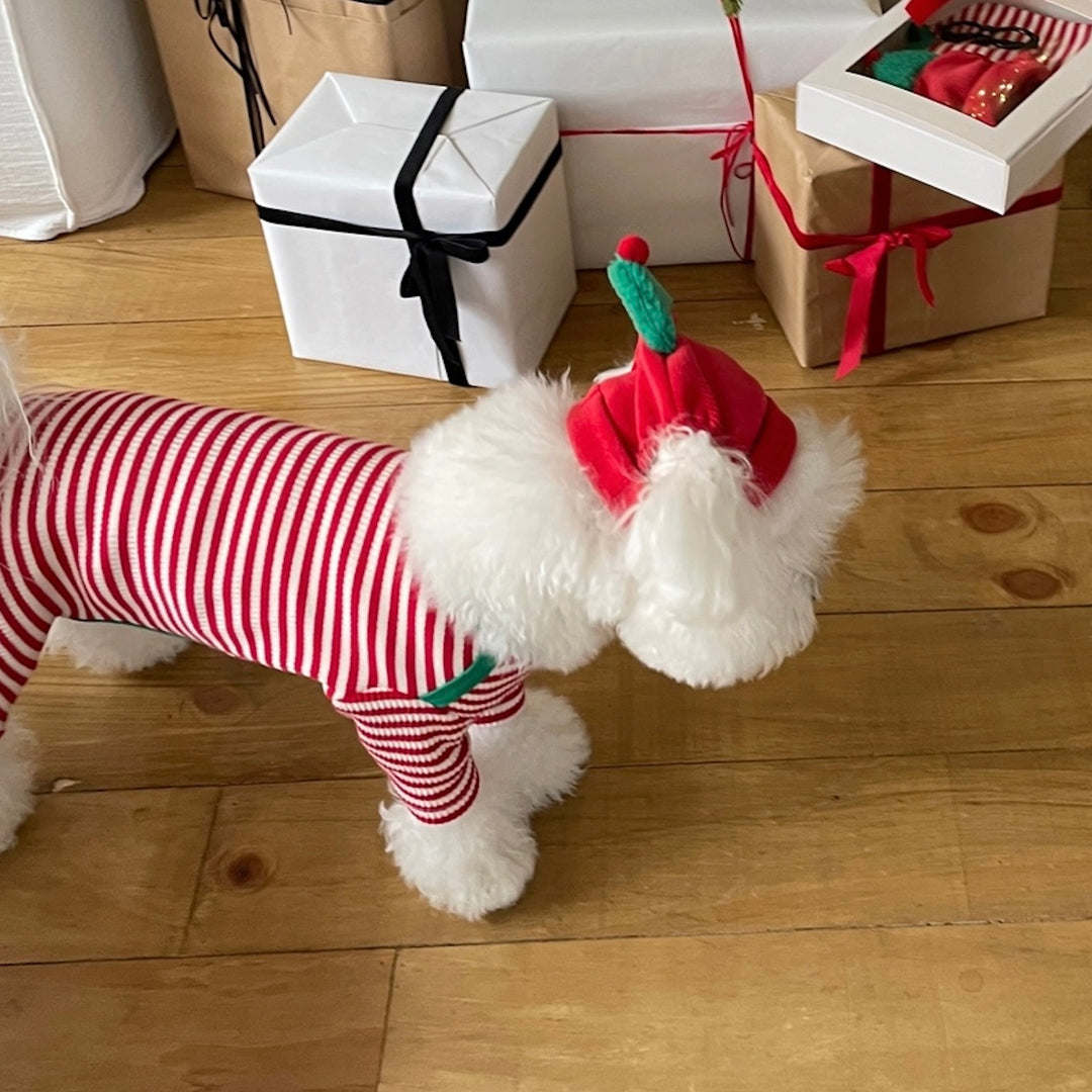 即納【FREDDIE TALE】Buddy All in one（Red）