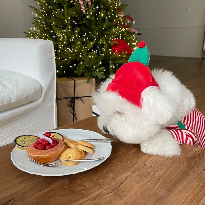 即納【FREDDIE TALE】Buddy All in one（Red）