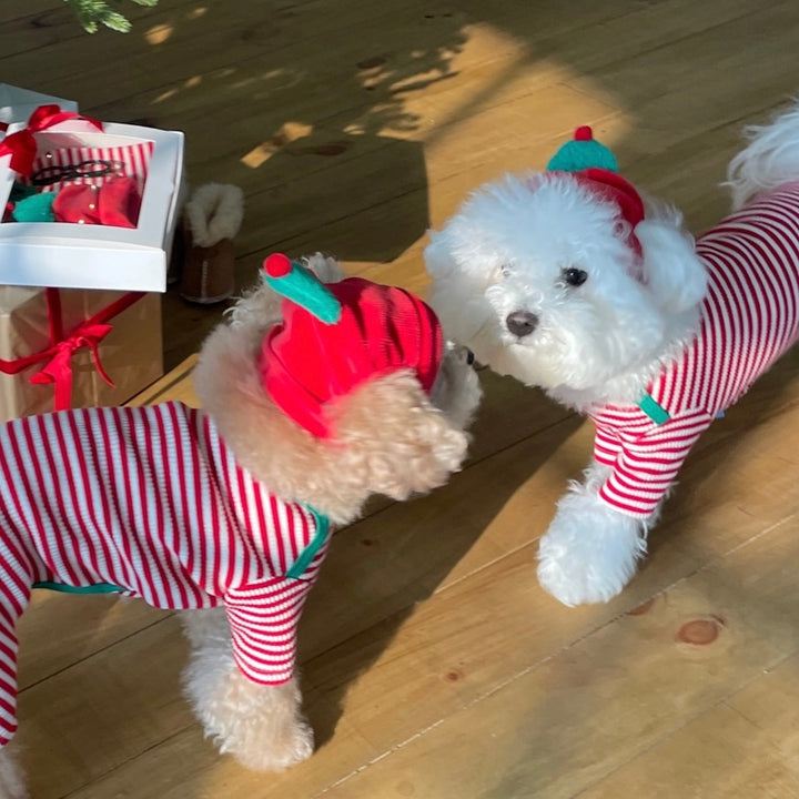 即納【FREDDIE TALE】Buddy All in one（Red）