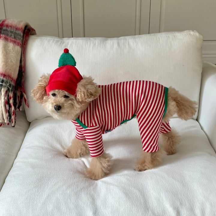 即納【FREDDIE TALE】Buddy All in one（Red）