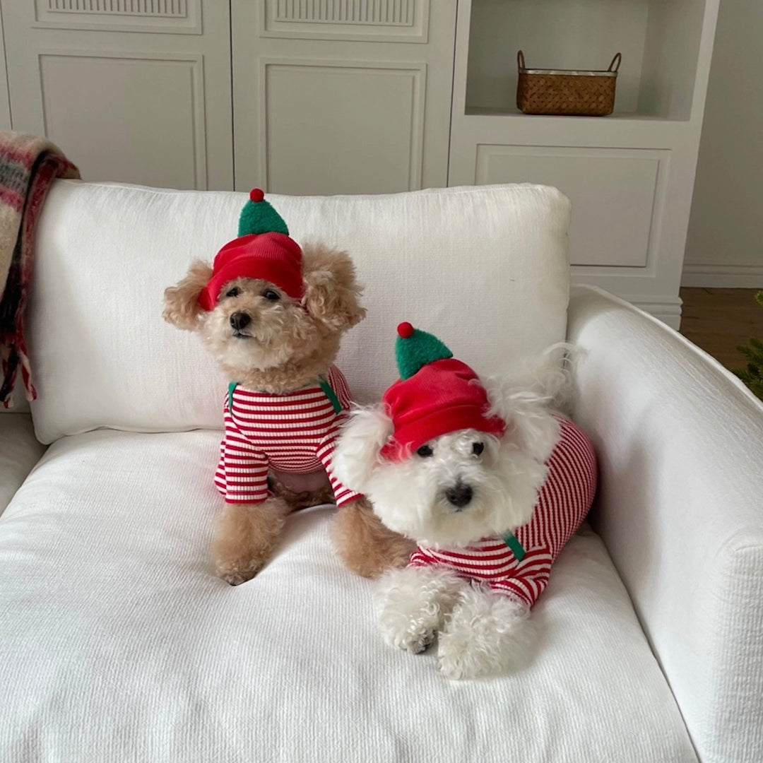 即納【FREDDIE TALE】Buddy All in one（Red）