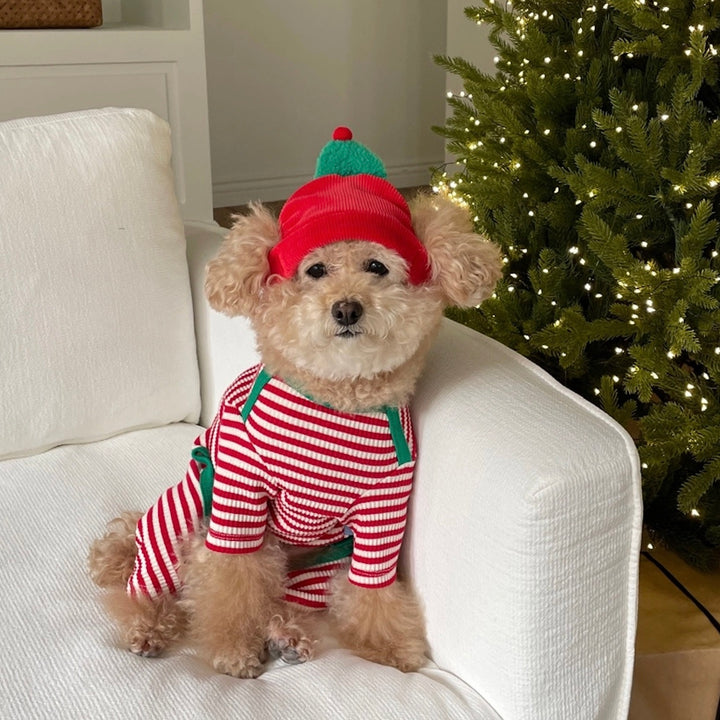 即納【FREDDIE TALE】Buddy All in one（Red）