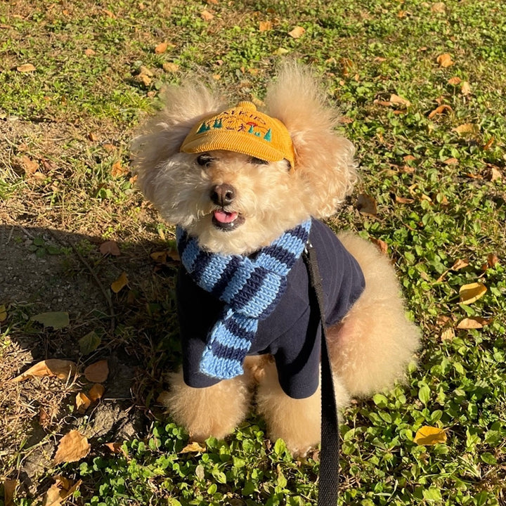 ※予約販売【FREDDIE TALE】Classc stripe muffler（Bluebreey）