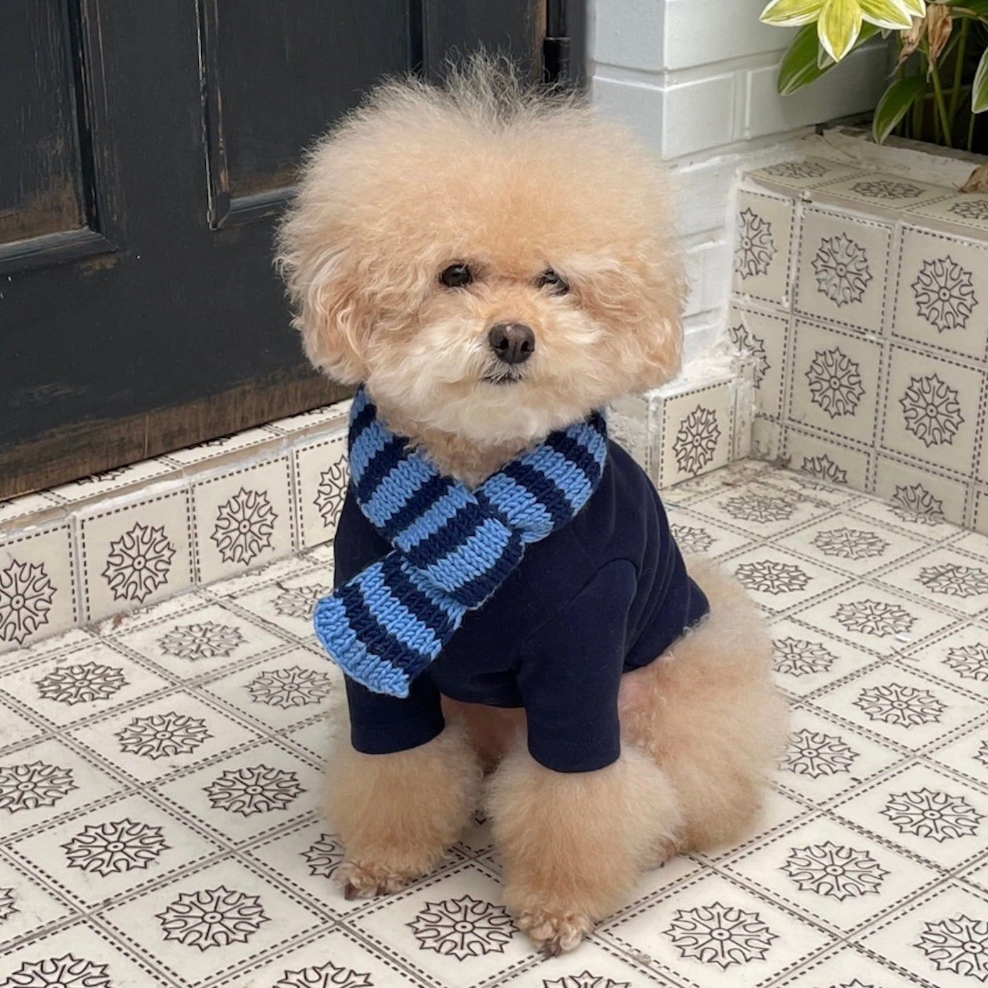 マフラー – URBAN DOG TOKYO