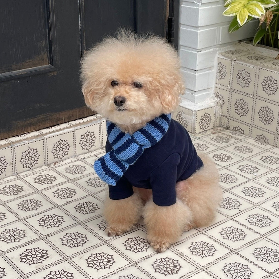 ※予約販売【FREDDIE TALE】Classc stripe muffler（Bluebreey）