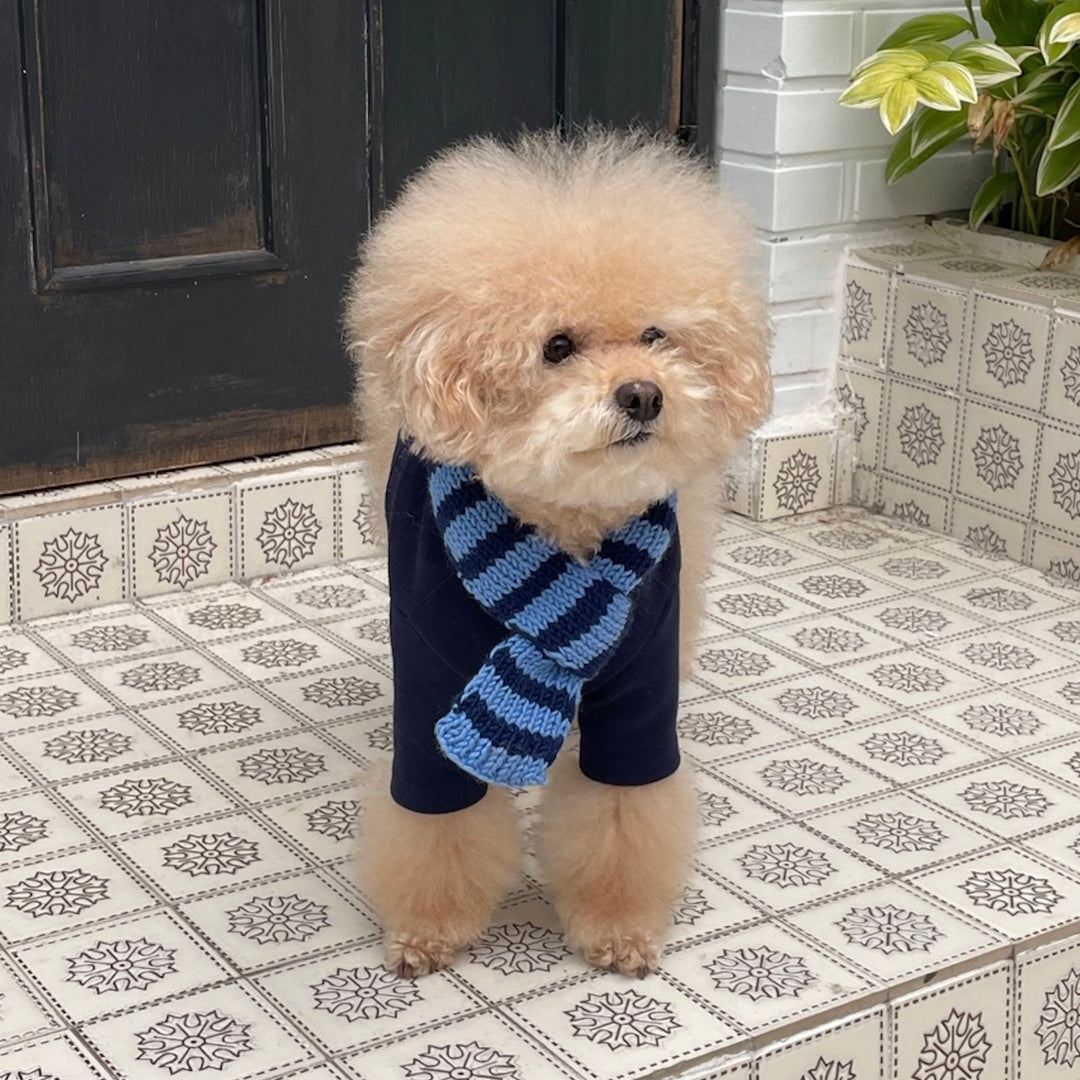 ※予約販売【FREDDIE TALE】Classc stripe muffler（Bluebreey）