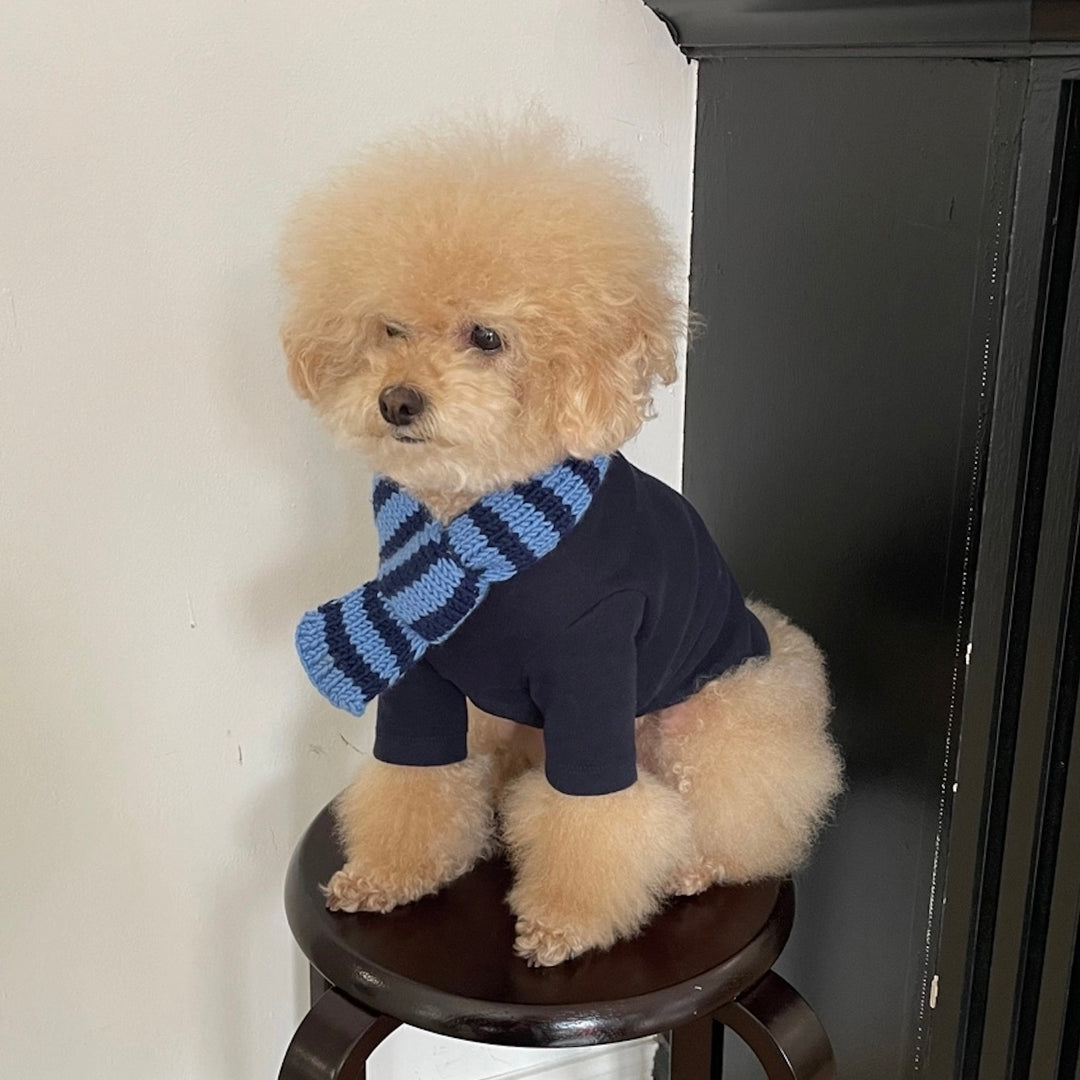 ※予約販売【FREDDIE TALE】Classc stripe muffler（Bluebreey）