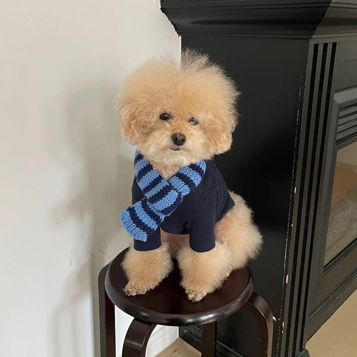 ※予約販売【FREDDIE TALE】Classc stripe muffler（Bluebreey）