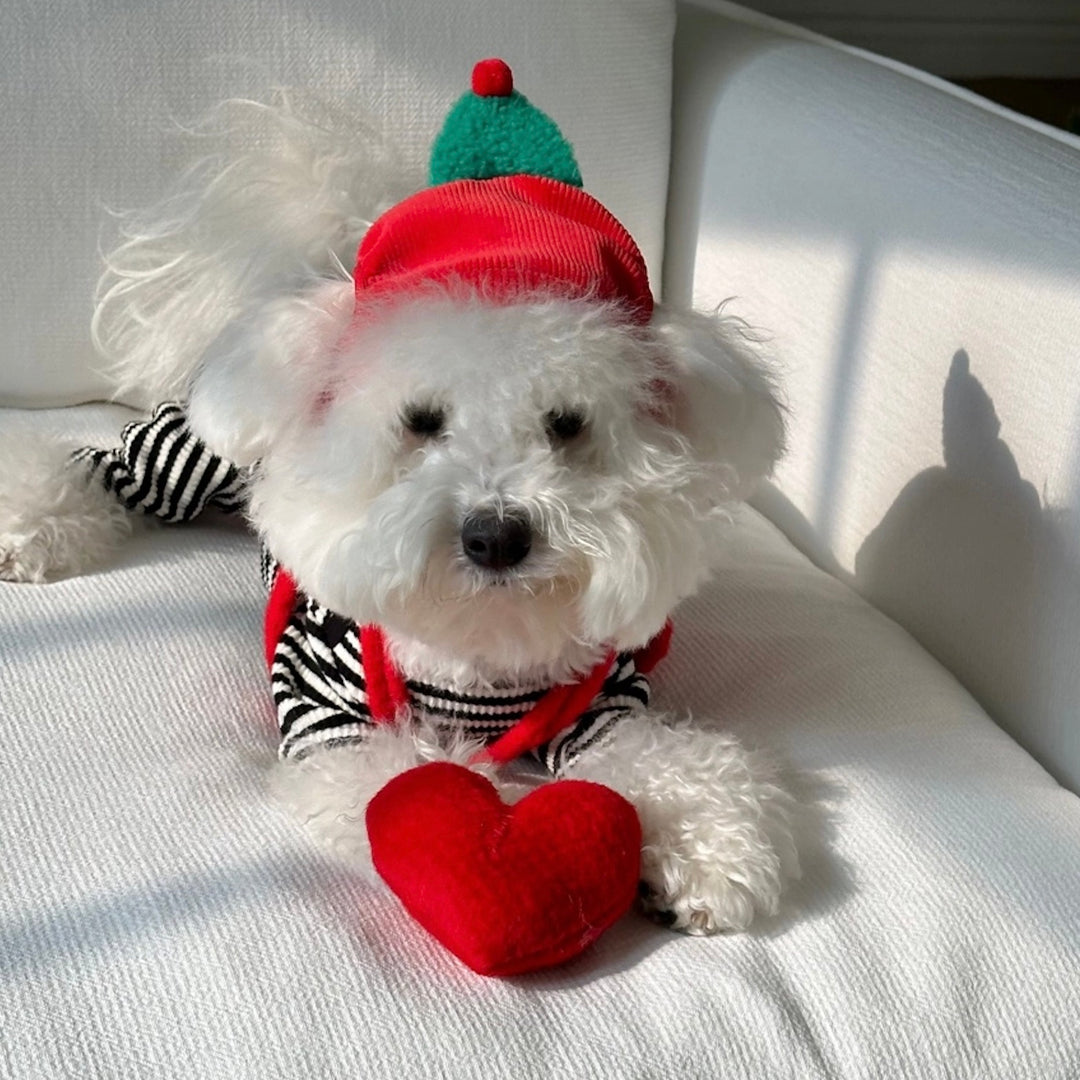 即納【FREDDIE TALE】Little tree hat