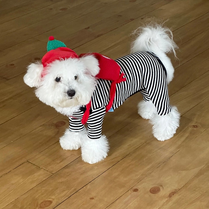 即納【FREDDIE TALE】Little tree hat