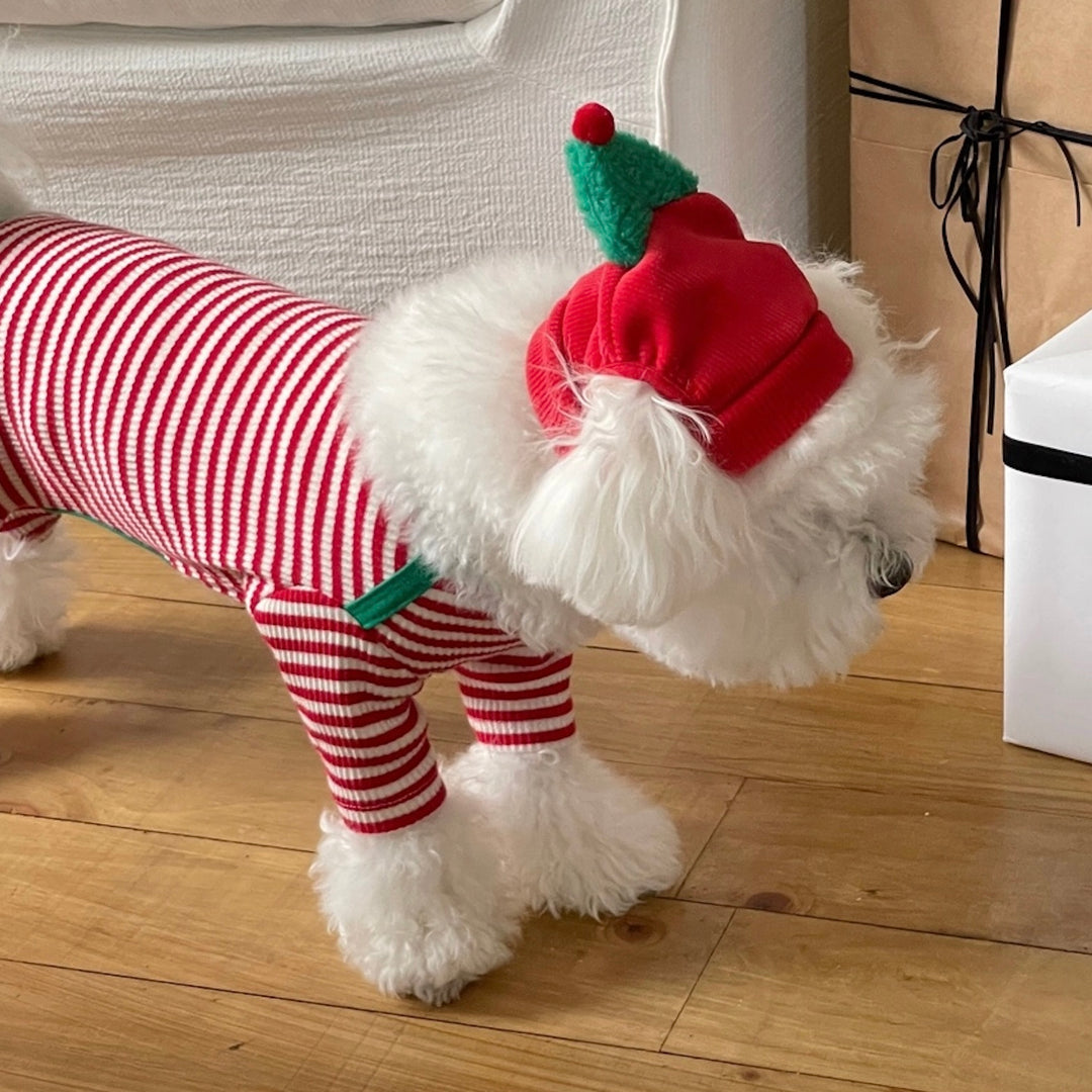 即納【FREDDIE TALE】Little tree hat