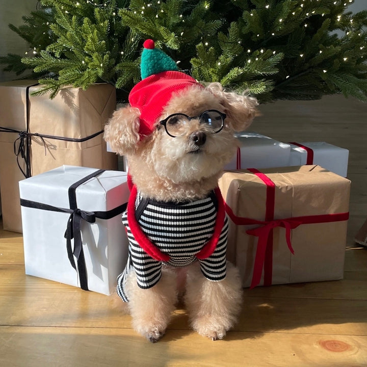 即納【FREDDIE TALE】Little tree hat