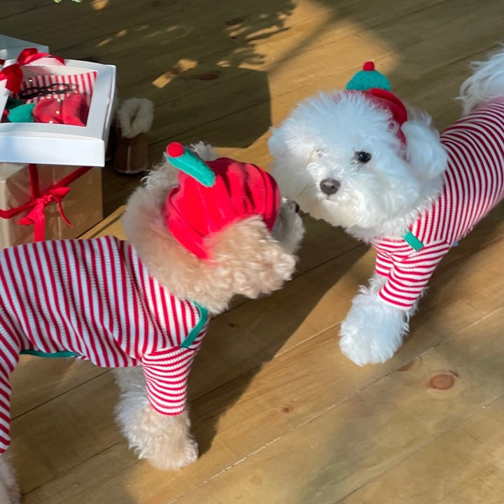 即納【FREDDIE TALE】Little tree hat