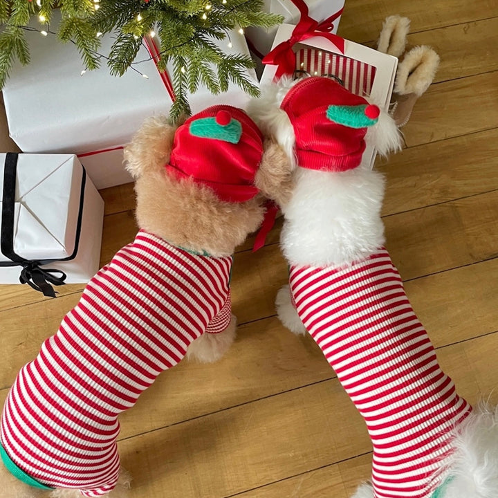 即納【FREDDIE TALE】Little tree hat