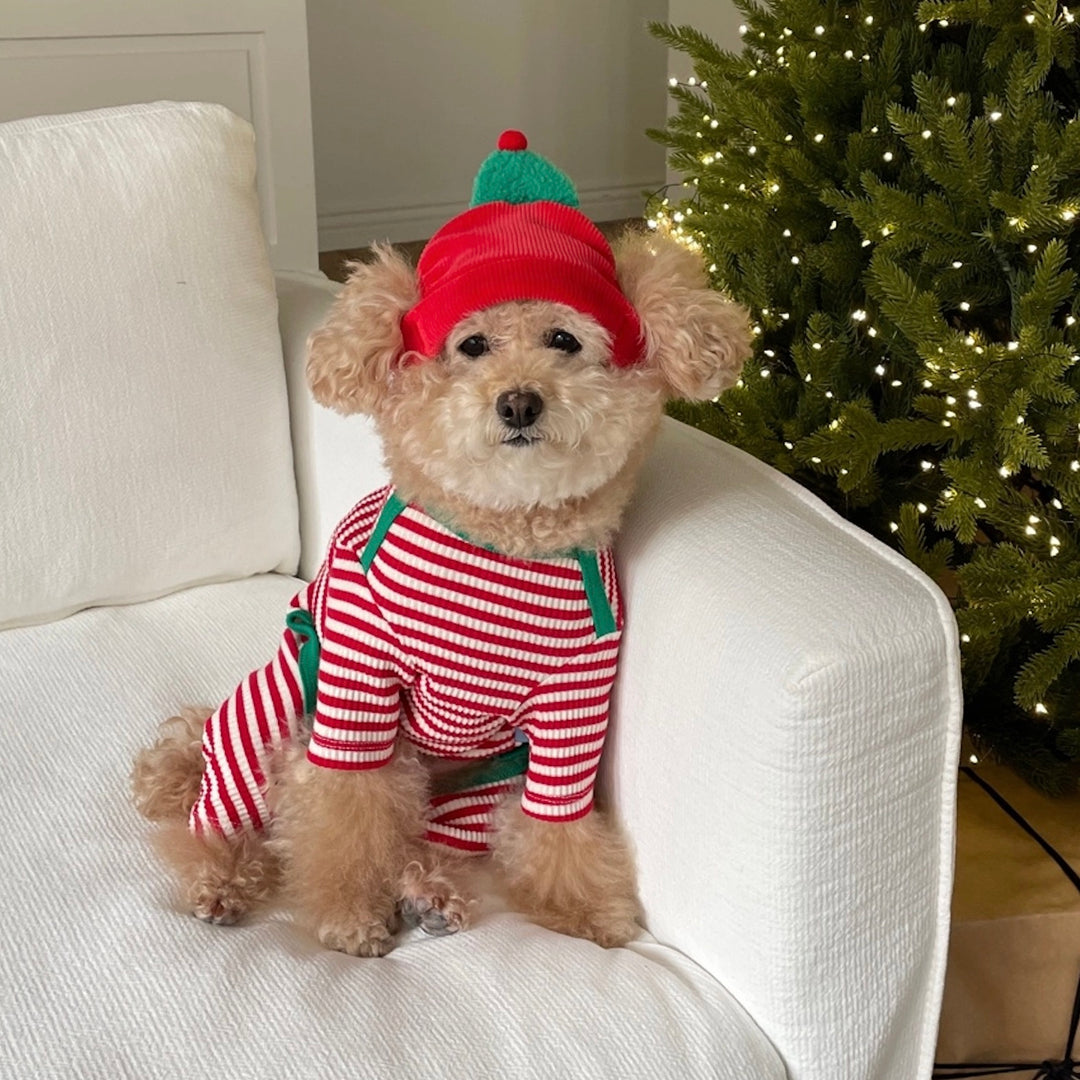 即納【FREDDIE TALE】Little tree hat