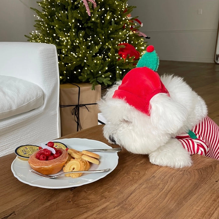 即納【FREDDIE TALE】Little tree hat