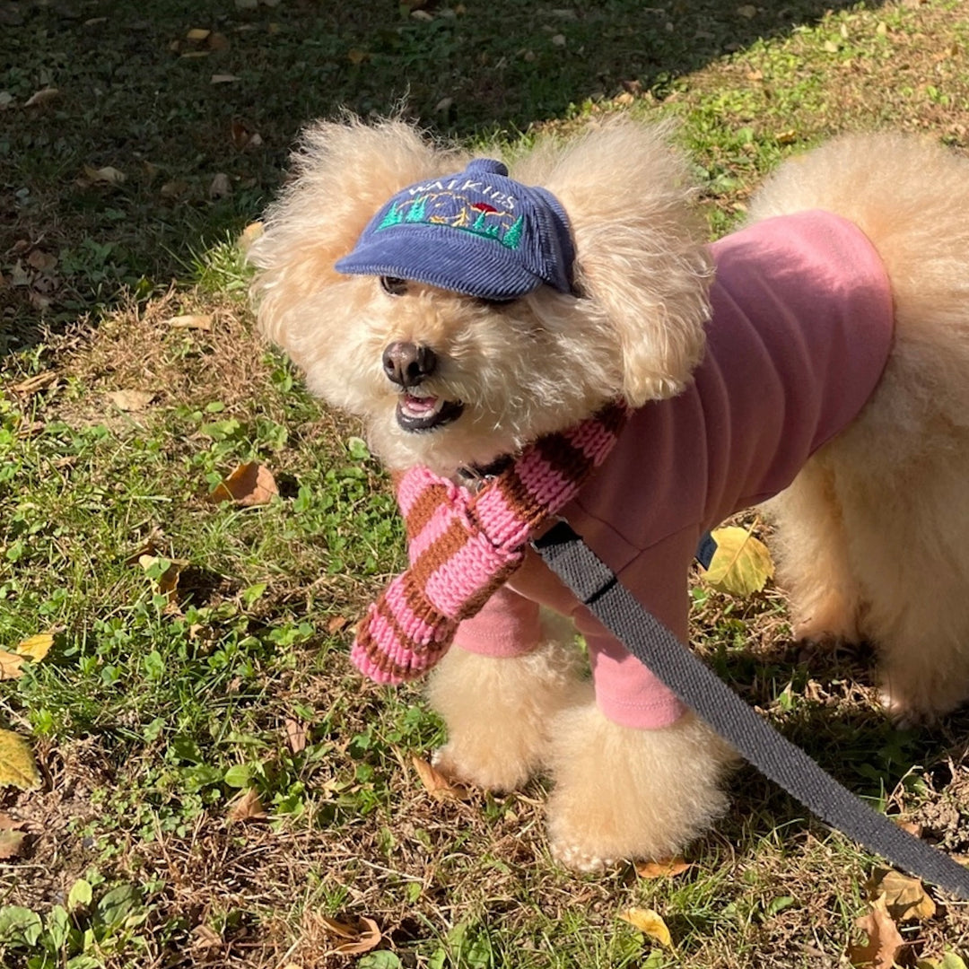 ※予約販売【FREDDIE TALE】Classc stripe muffler（Pink brownie）