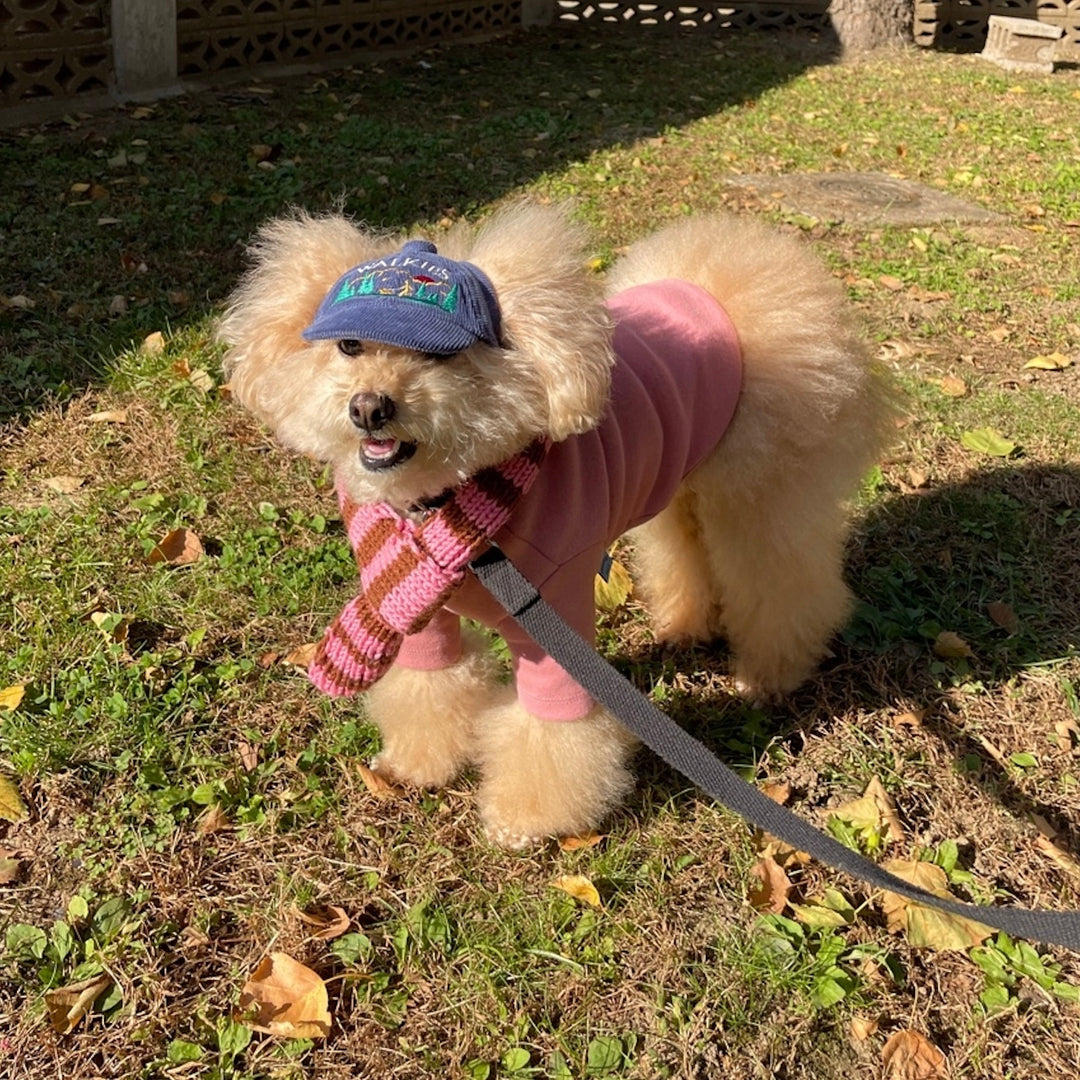 ※予約販売【FREDDIE TALE】Classc stripe muffler（Pink brownie）