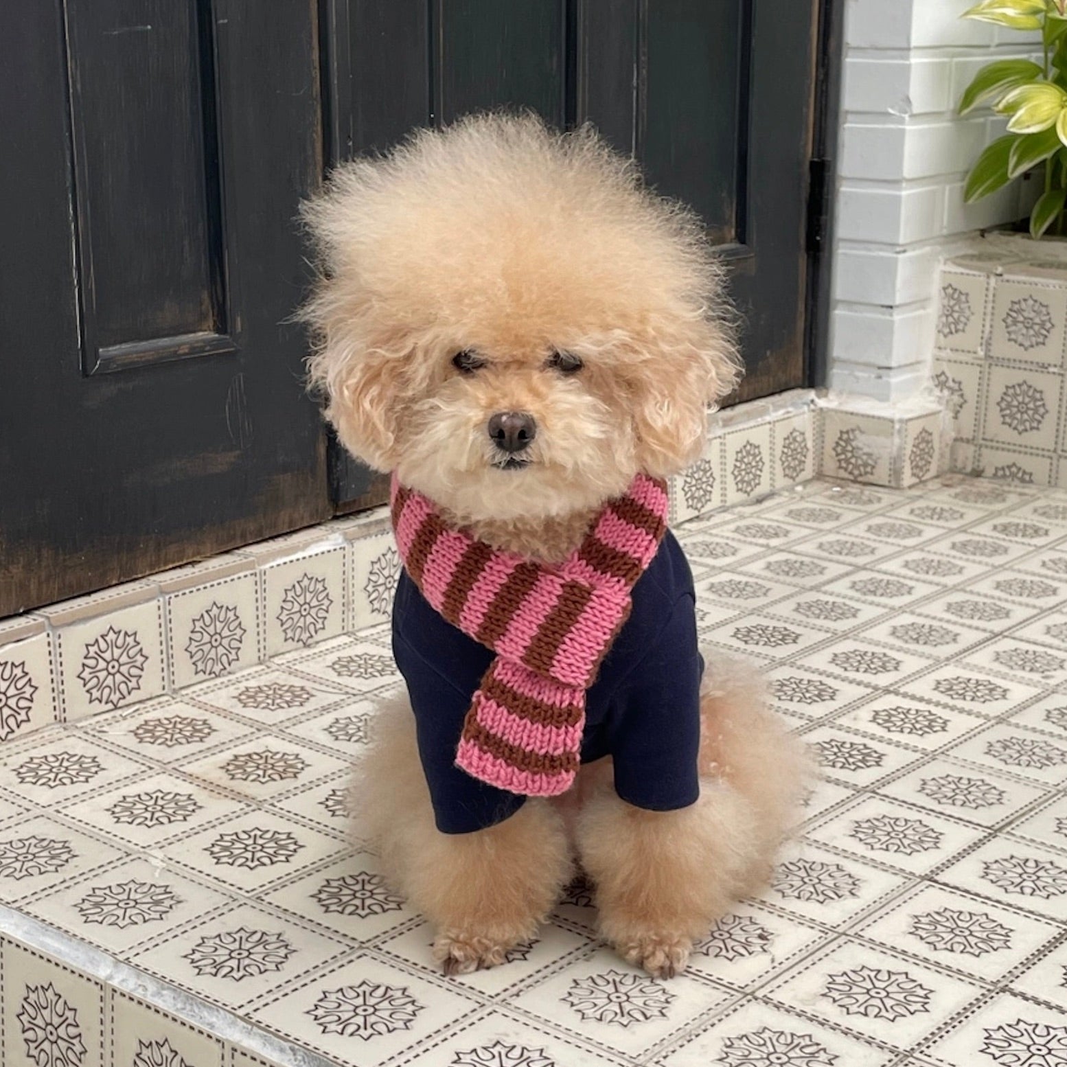 マフラー – URBAN DOG TOKYO