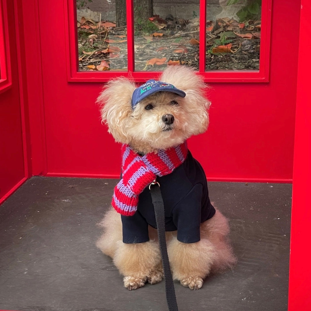 ※予約販売【FREDDIE TALE】Classc stripe muffler（Red velvet）