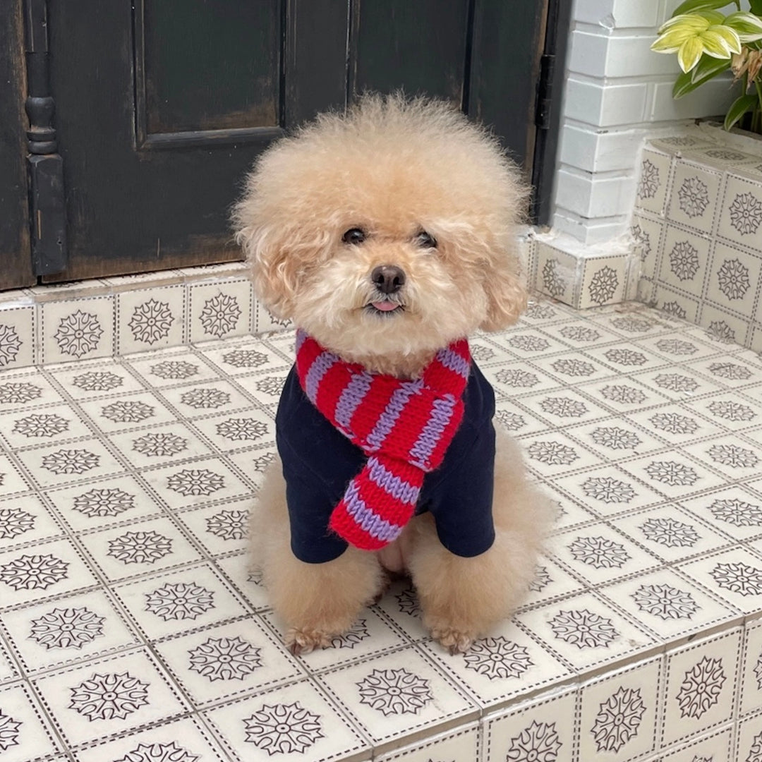 ※予約販売【FREDDIE TALE】Classc stripe muffler（Red velvet）