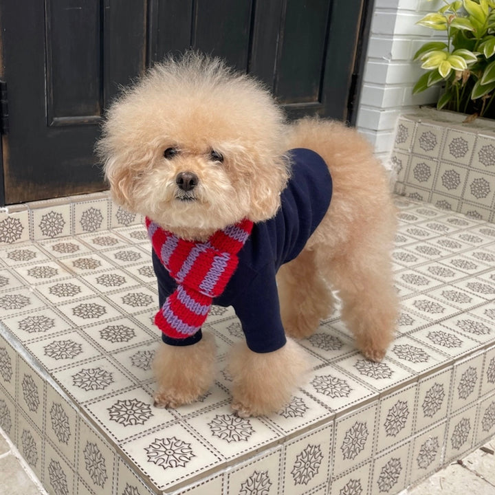 ※予約販売【FREDDIE TALE】Classc stripe muffler（Red velvet）