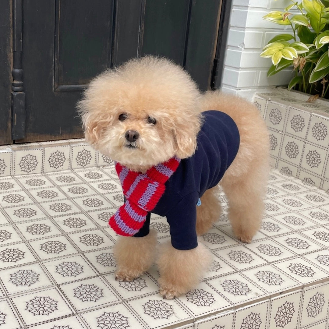 ※予約販売【FREDDIE TALE】Classc stripe muffler（Red velvet）