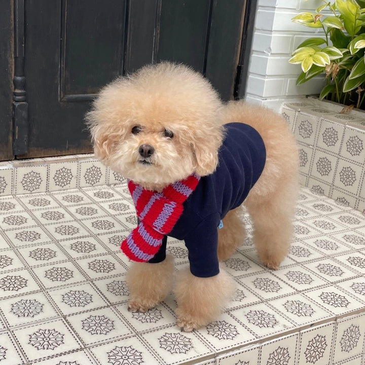 ※予約販売【FREDDIE TALE】Classc stripe muffler（Red velvet）