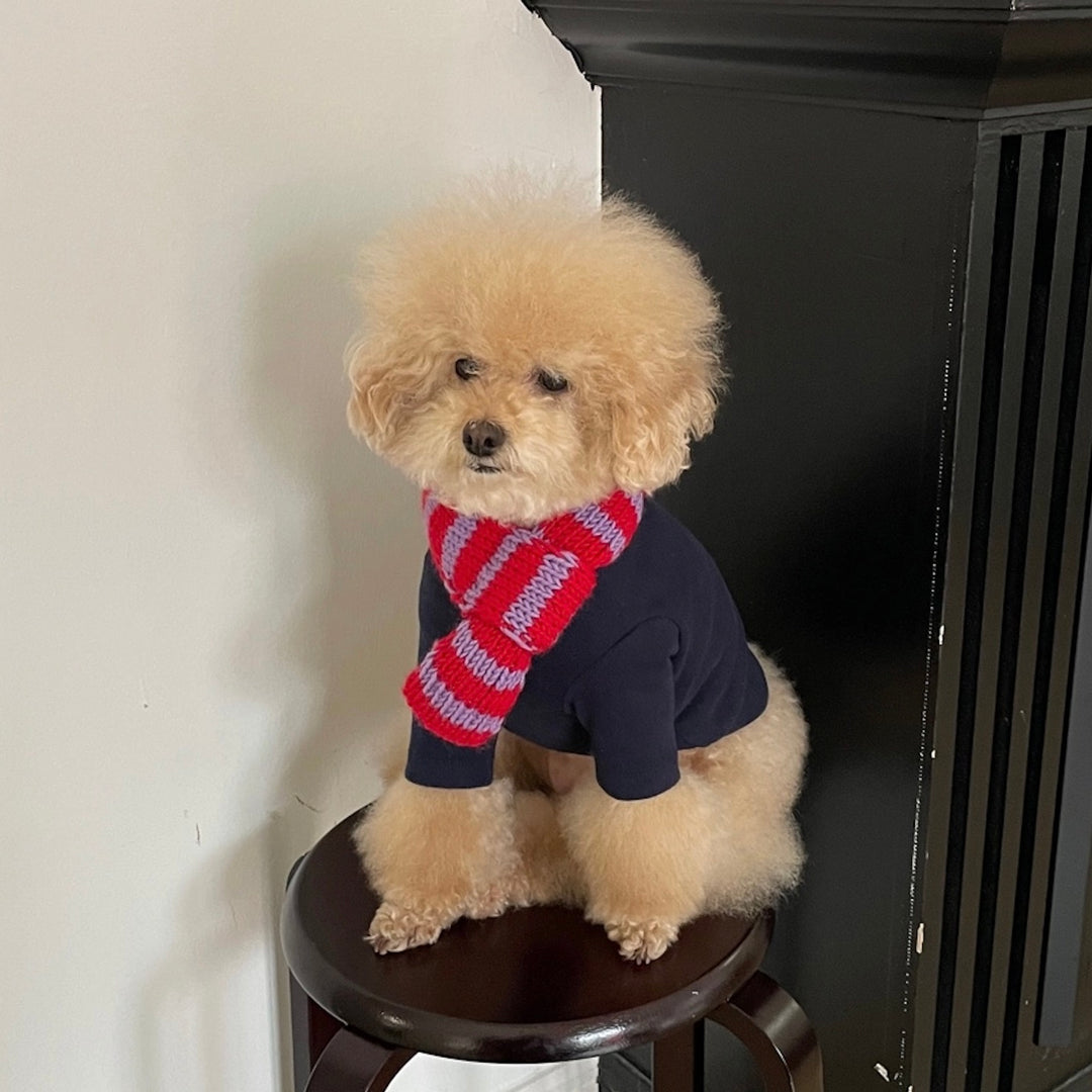 ※予約販売【FREDDIE TALE】Classc stripe muffler（Red velvet）