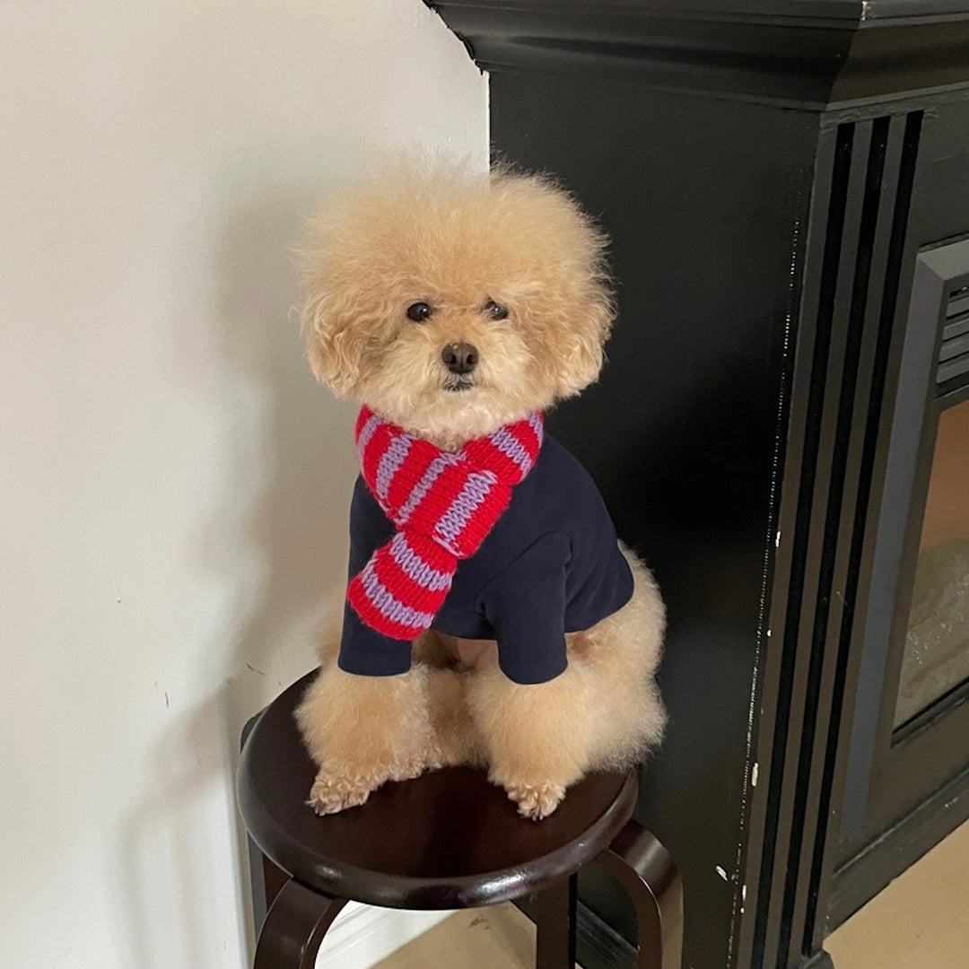 ※予約販売【FREDDIE TALE】Classc stripe muffler（Red velvet）