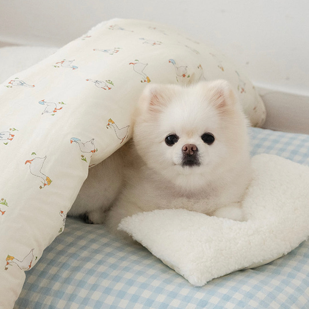 ※予約販売【noutti】Duck Blanket Cushion Set（Ivory / Sky Blue）