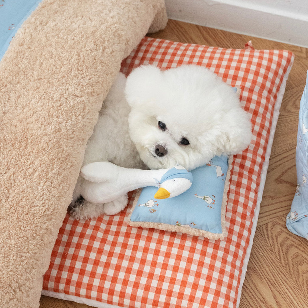 ※予約販売【noutti】Duck Blanket Cushion Set（Sky / Orange Red）