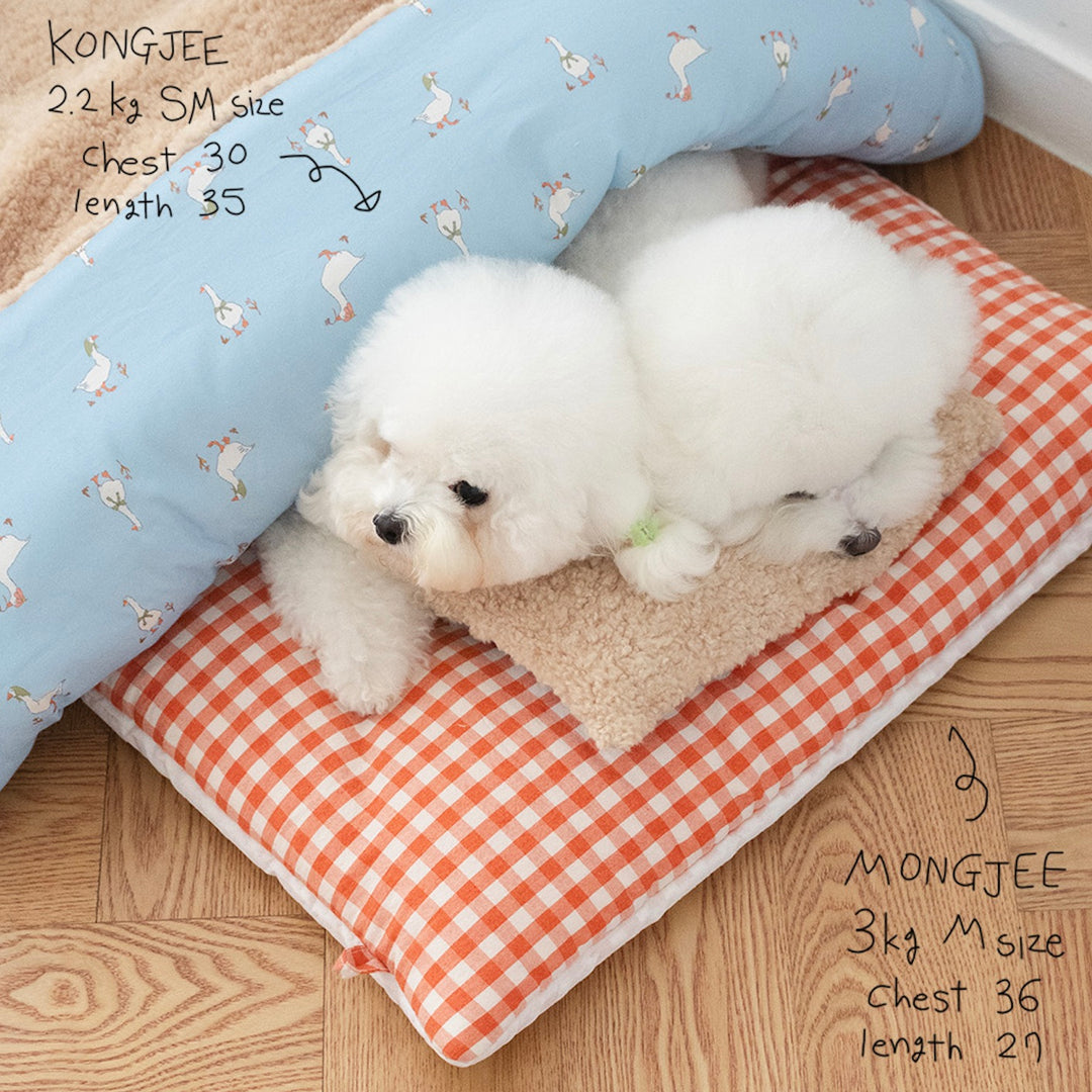 ※予約販売【noutti】Duck Blanket Cushion Set（Sky / Orange Red）