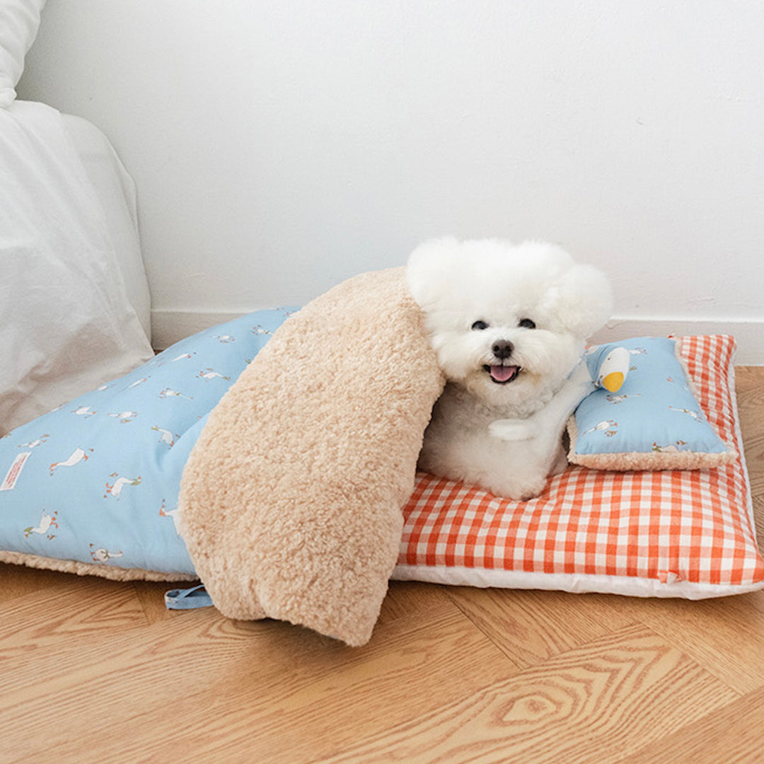 ※予約販売【noutti】Duck Blanket Cushion Set（Sky / Orange Red）