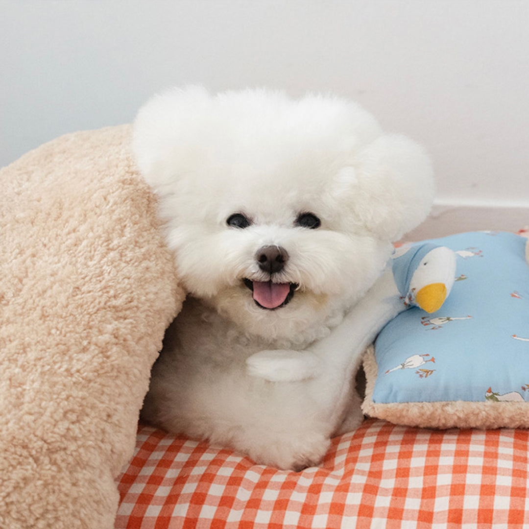 ※予約販売【noutti】Duck Blanket Cushion Set（Sky / Orange Red）