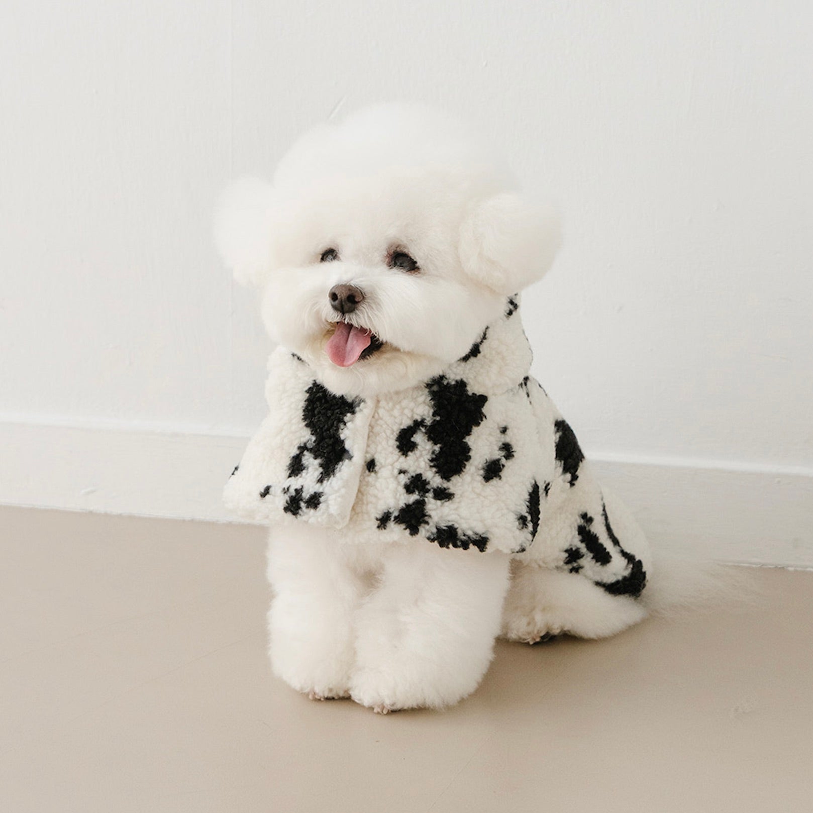 海外犬服 高品質なインポートのドッグウェア通販 