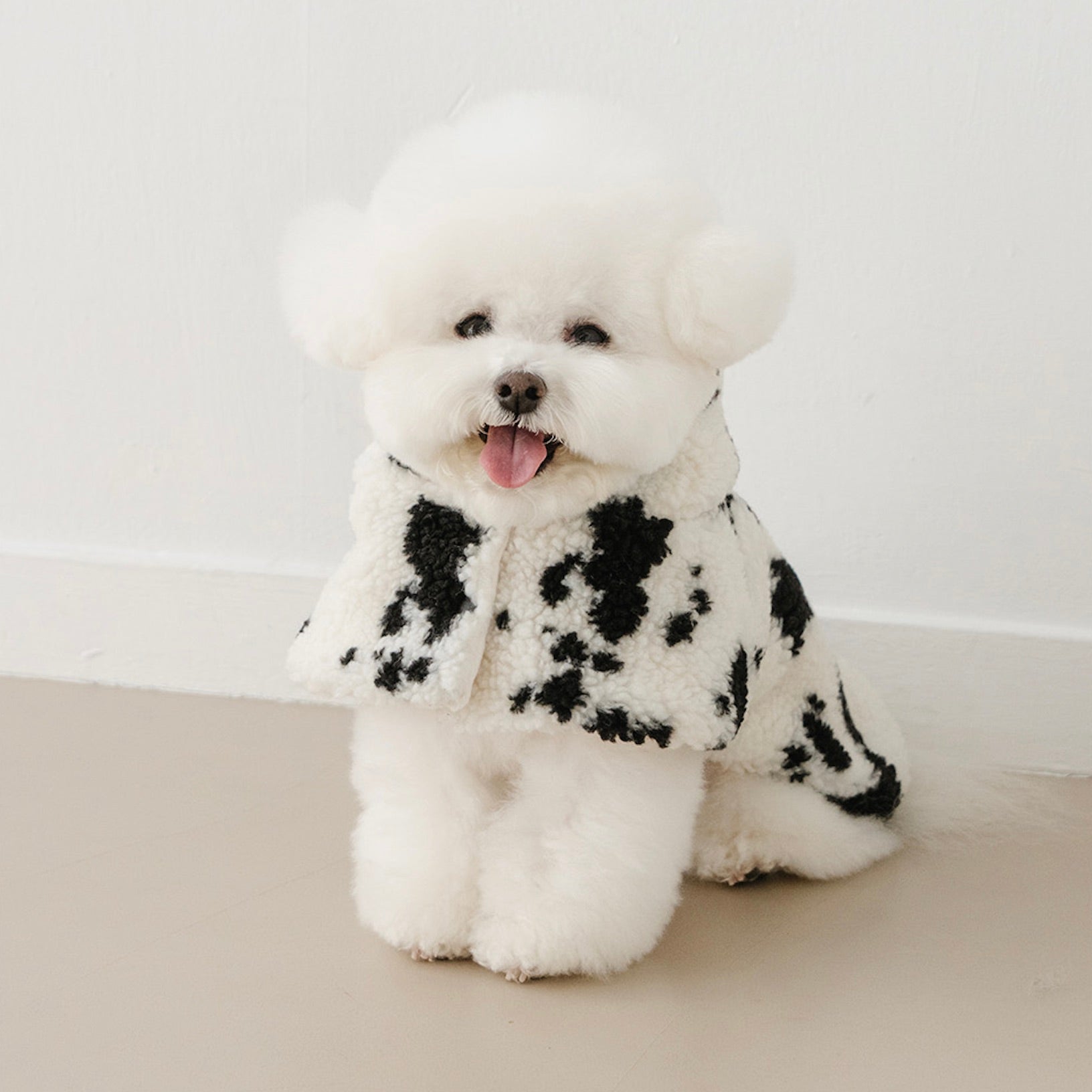 海外犬服 高品質なインポートのドッグウェア通販 