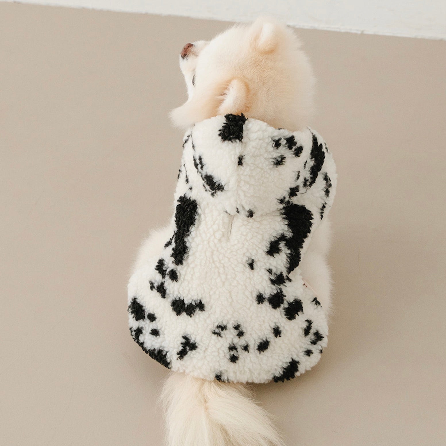 海外犬服 高品質なインポートのドッグウェア通販 