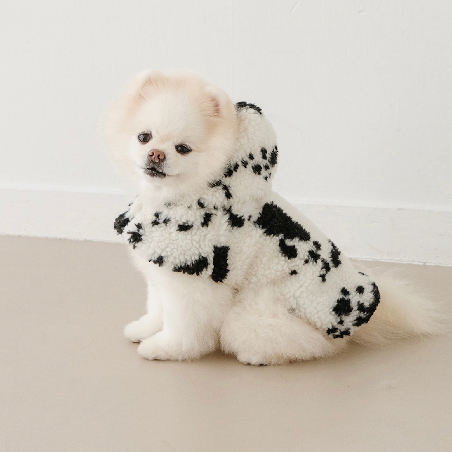 海外犬服 高品質なインポートのドッグウェア通販 