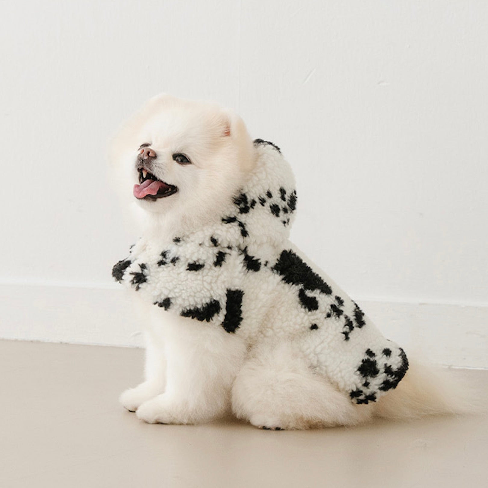 海外犬服 高品質なインポートのドッグウェア通販 