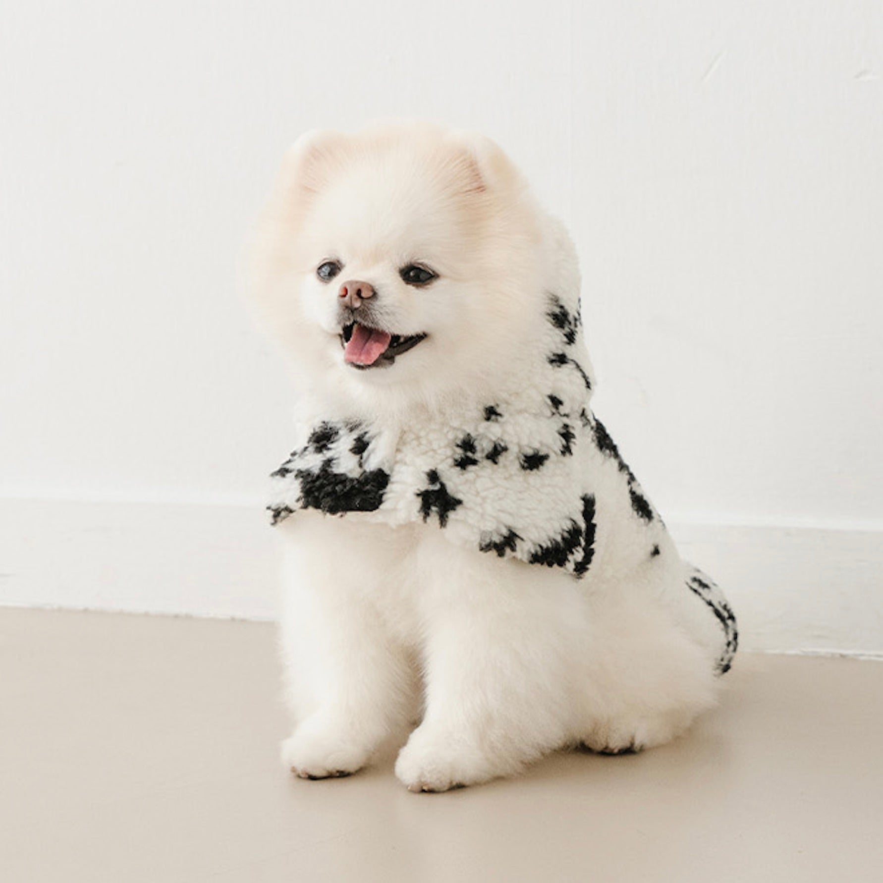 海外犬服 高品質なインポートのドッグウェア通販 