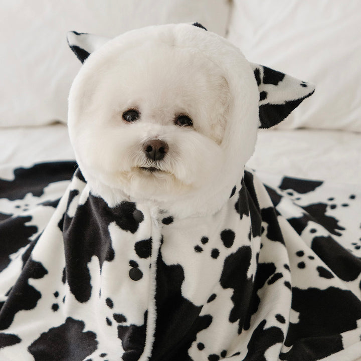 即納【noutti】Cow Cape Blanket