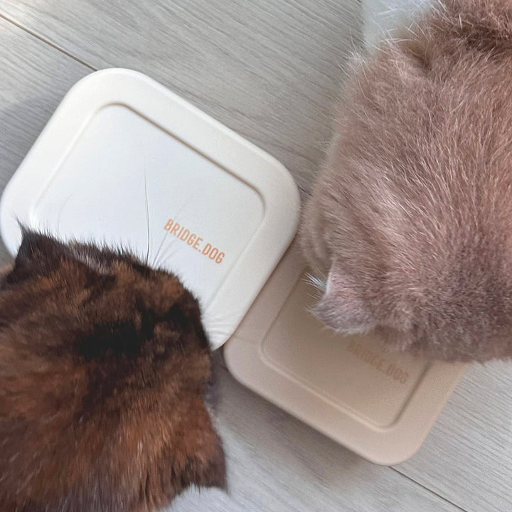 ※予約販売【BRIDGE.DOG】DOG SI RAK - MEAL CASE（300ml）