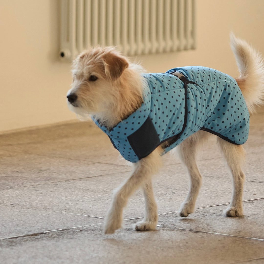 ※予約販売【andblank】Polka Light Extreme Heat Padding