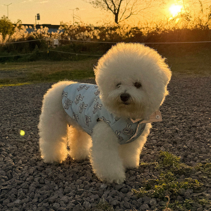 ※予約販売【CRR】Rabbit Reflect Vest