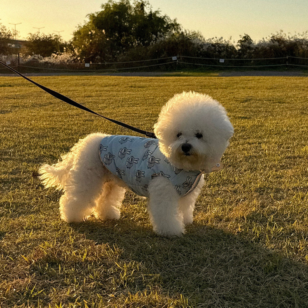 ※予約販売【CRR】Rabbit Reflect Vest